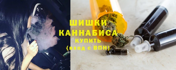 шишки Алексин