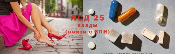 шишки Алексин