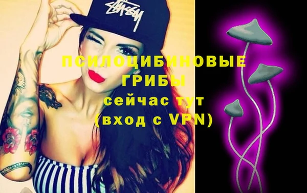 а пвп мука Алзамай