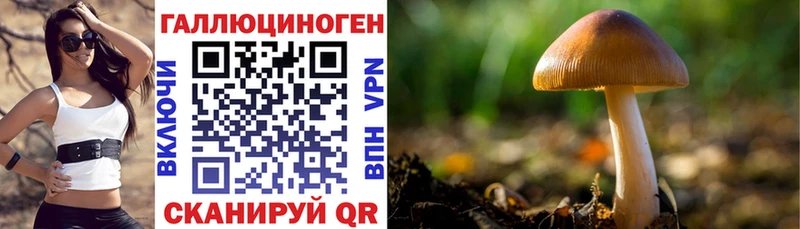 Купить  Новокузнецк  Псилоцибиновые грибы Cubensis 